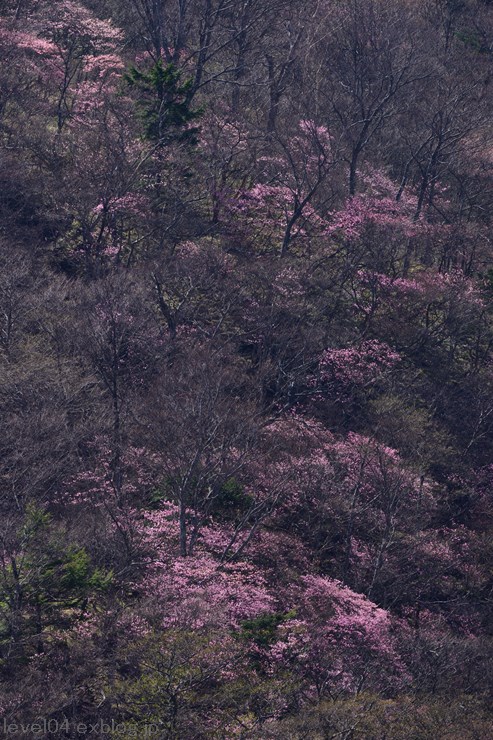 d0319222_10172666.jpg