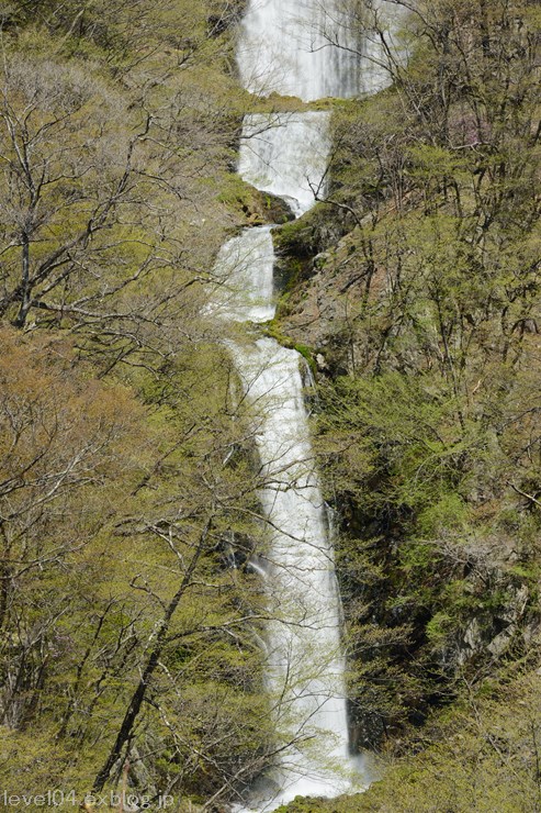 d0319222_10251995.jpg