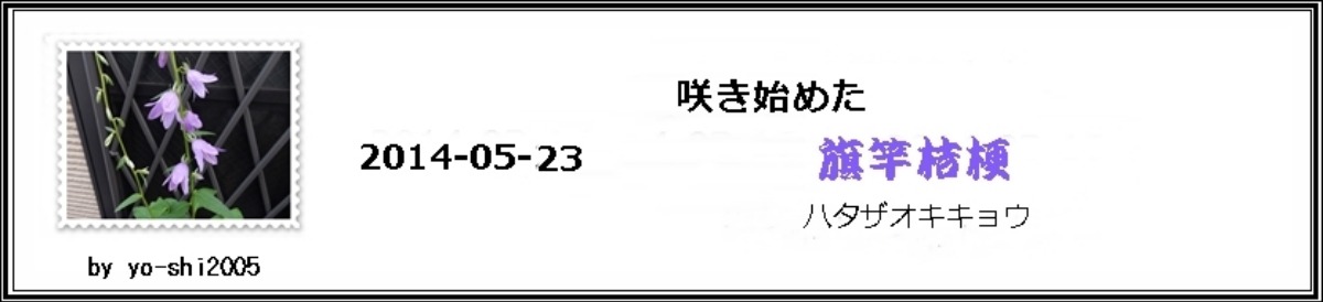 e0033229_1884022.jpg