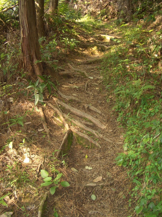b0222530_16535726.jpg
