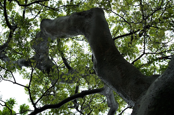 f0324332_01483122.jpg