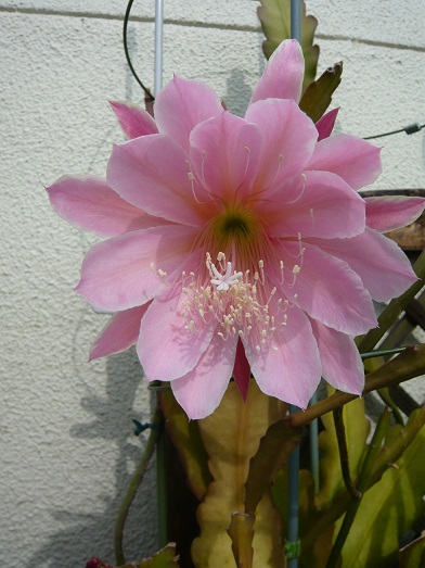 b0164533_22154168.jpg
