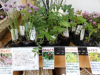 f0167635_1030848.jpg