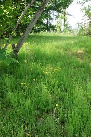 b0169238_21211441.jpg