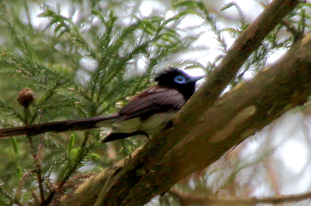 c0269342_15490091.jpg