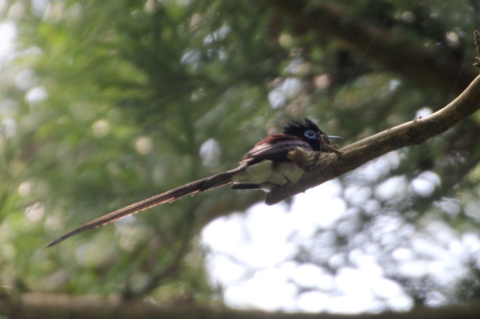 c0269342_15501747.jpg