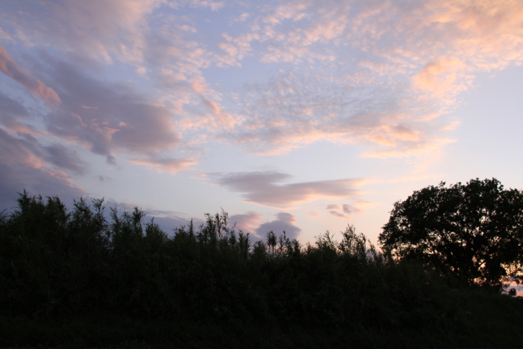 f0281446_07552027.jpg