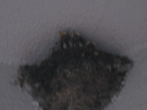 c0177951_09421216.jpg