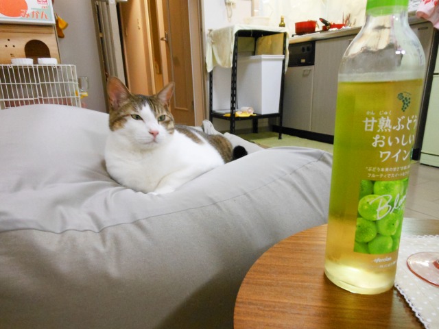 a0150353_2394251.jpg