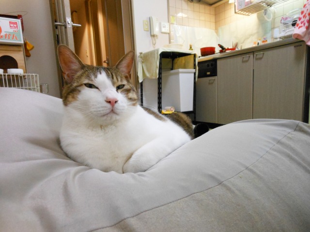 a0150353_2394580.jpg