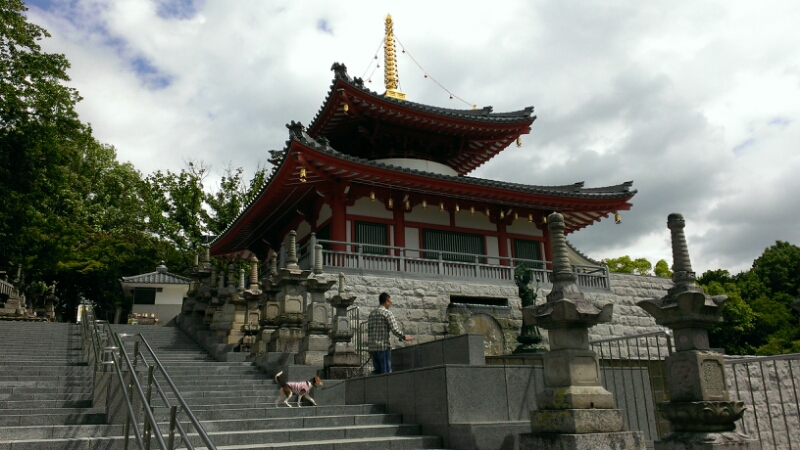 d0155853_14271840.jpg