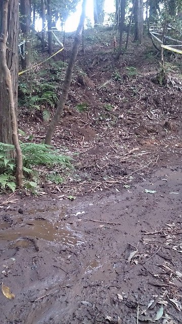 c0042655_22275569.jpg