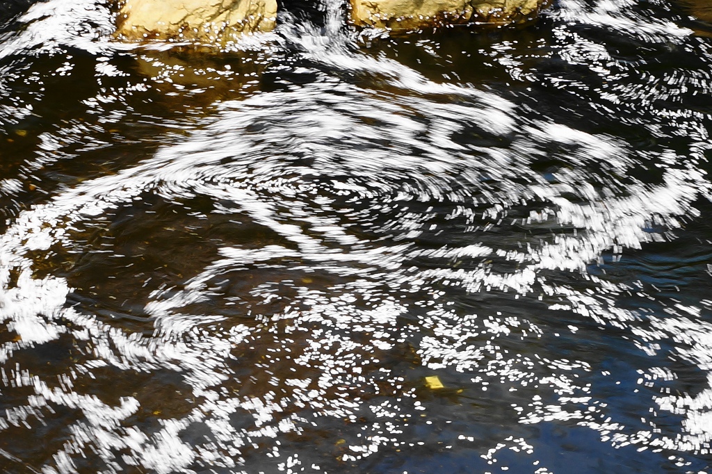 e0229455_00431324.jpg
