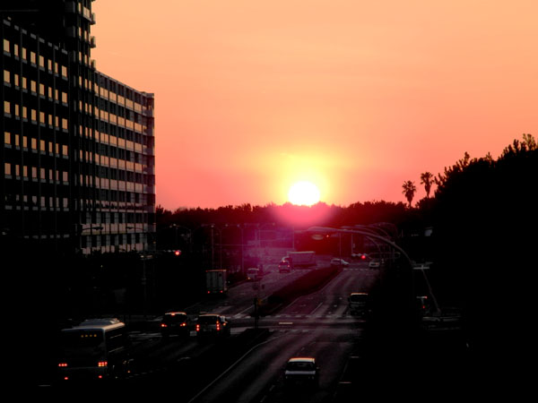 e0028056_23132148.jpg