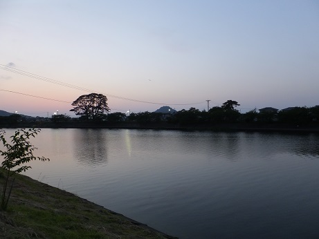 f0113862_21144516.jpg