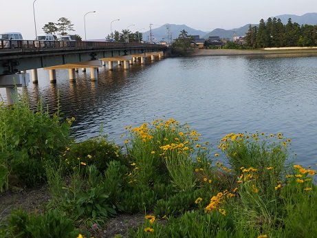 f0113862_2124665.jpg