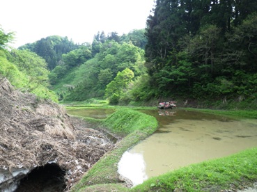 b0079965_6101125.jpg