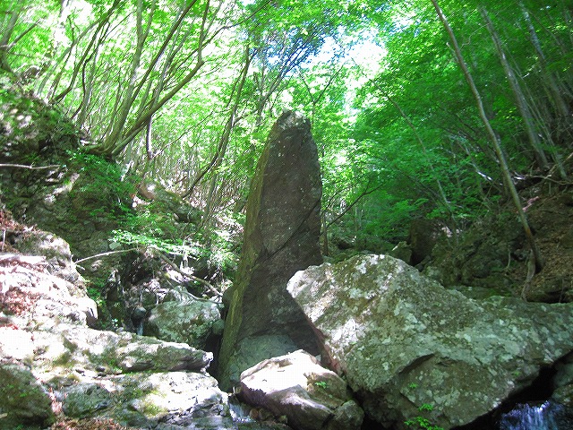 c0219866_1811419.jpg