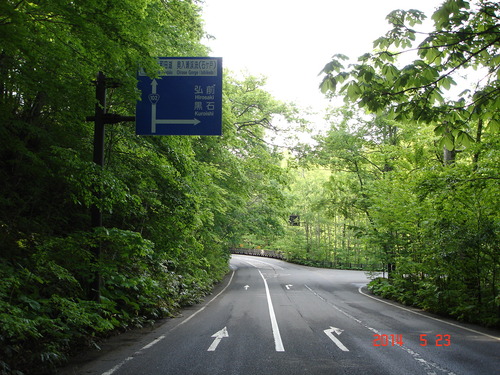 d0165378_1153731.jpg