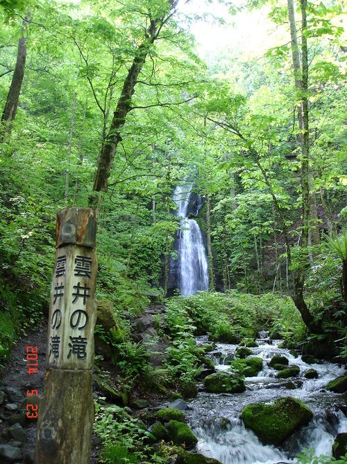 d0165378_1255911.jpg