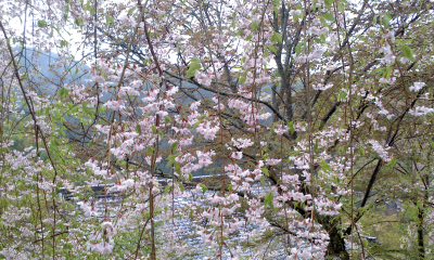 c0069380_11514379.jpg