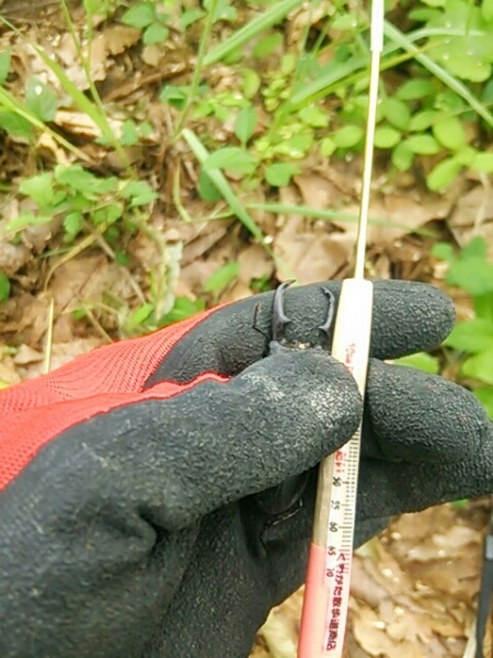 f0183484_1292974.jpg