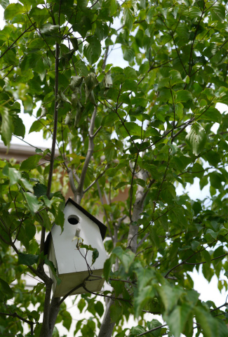 c0160488_1593784.jpg