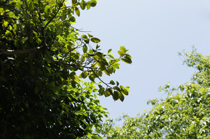 a0025490_1152149.jpg