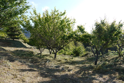 f0222692_12205033.jpg