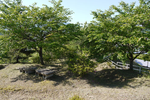 f0222692_12223128.jpg