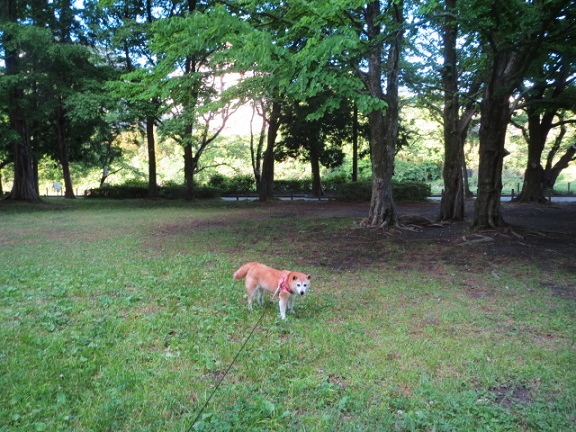 e0025596_026217.jpg