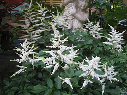 d0046702_10273935.jpg
