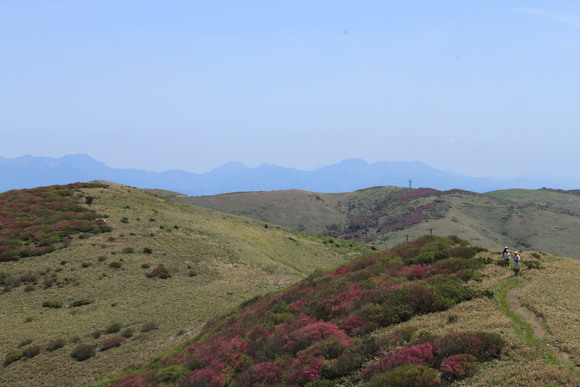 d0237309_2154367.jpg