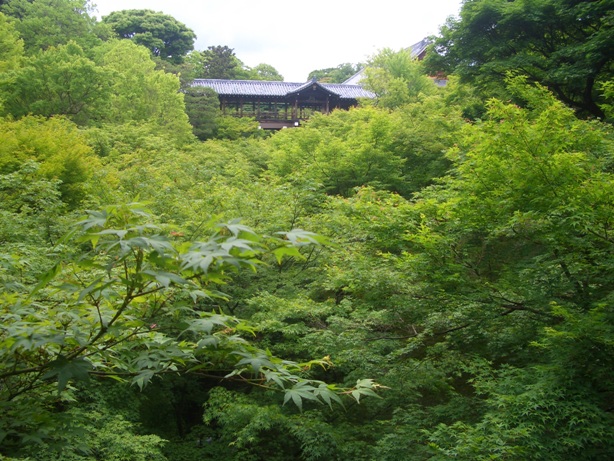e0033713_16382325.jpg
