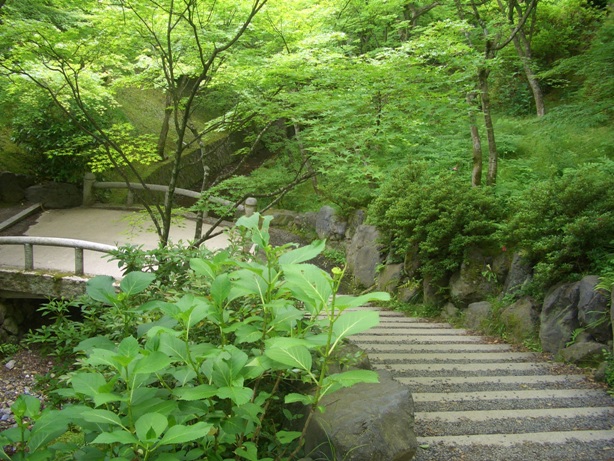 e0033713_16414500.jpg
