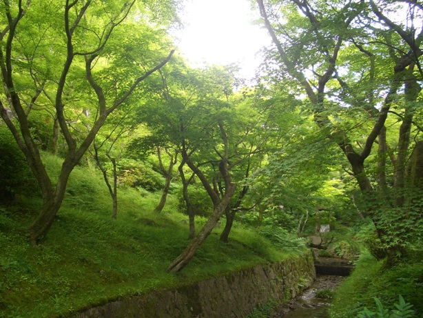 e0033713_16415577.jpg