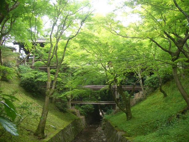 e0033713_16530586.jpg