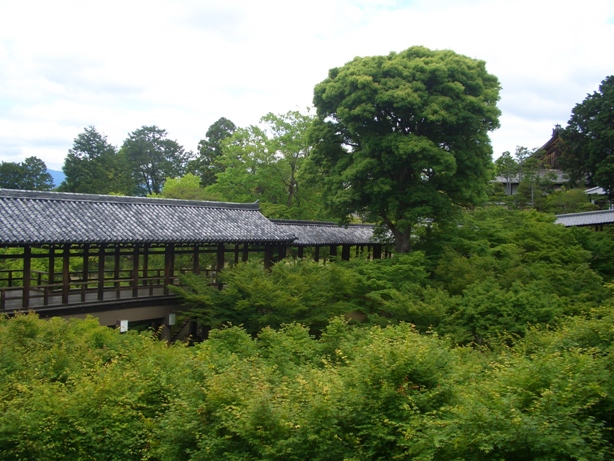 e0033713_17031752.jpg