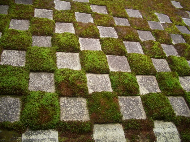 e0033713_17060453.jpg