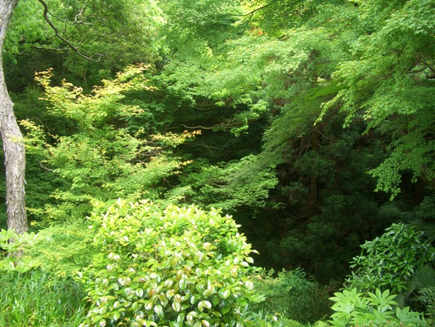 e0033713_17064607.jpg