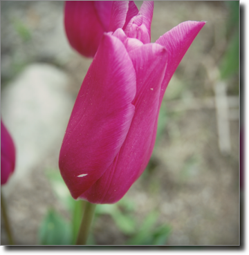 a0114514_1926161.png
