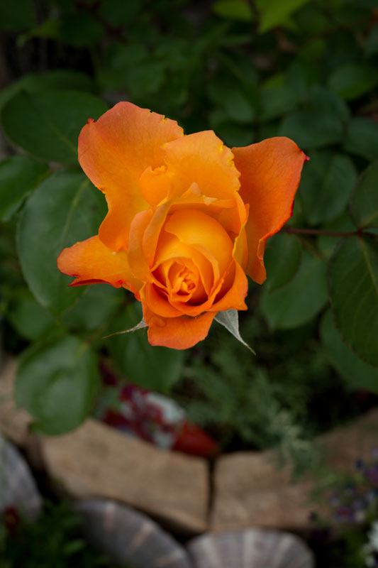 a0278914_1614828.jpg
