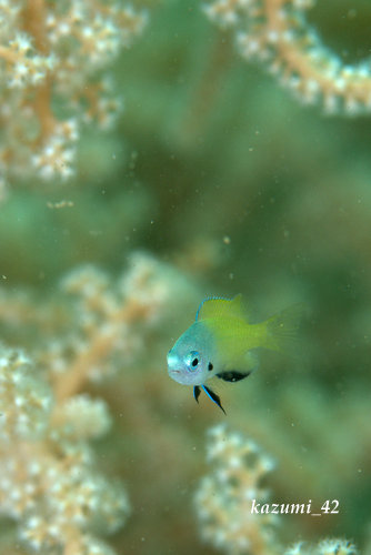 b0164920_21482067.jpg