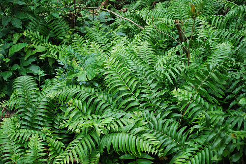 e0123920_21233759.jpg