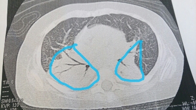 c0117621_11371063.jpg