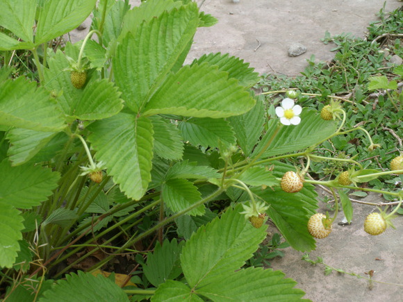d0259325_23113583.jpg