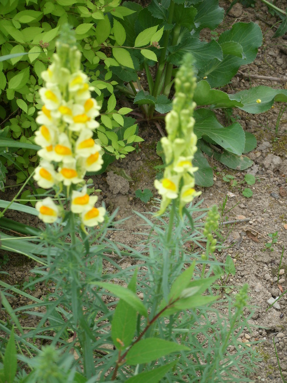 d0259325_23144458.jpg