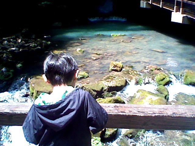 e0286326_2128438.jpg