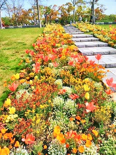 b0102728_1781110.jpg