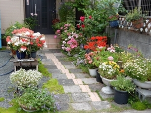 e0033229_1884092.jpg